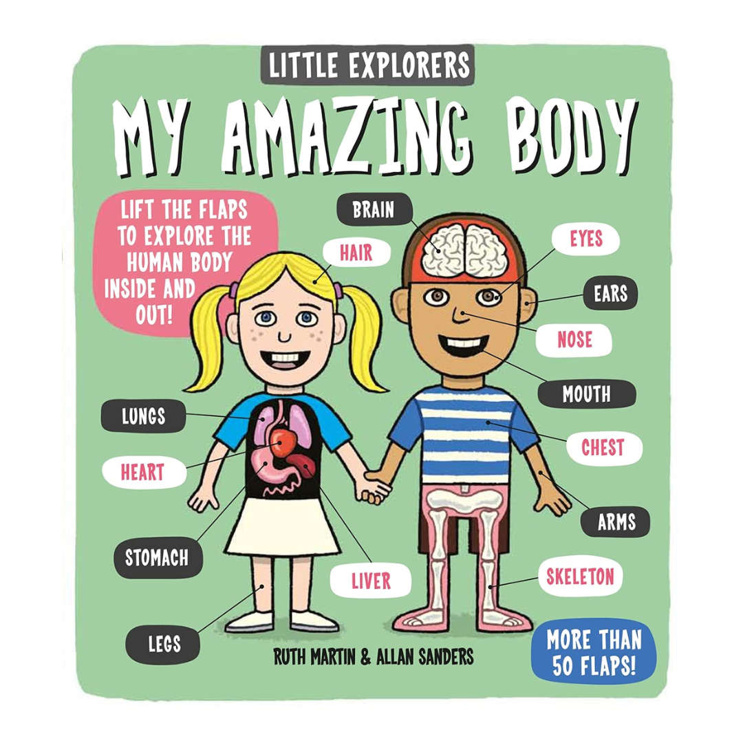 Little Explorers: My Amazing Body - The English Bookshop