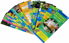 Extreme Animals Fast Fact Cards: Scholastic Early Learners (Quick Smarts) - The English Bookshop Kuwait