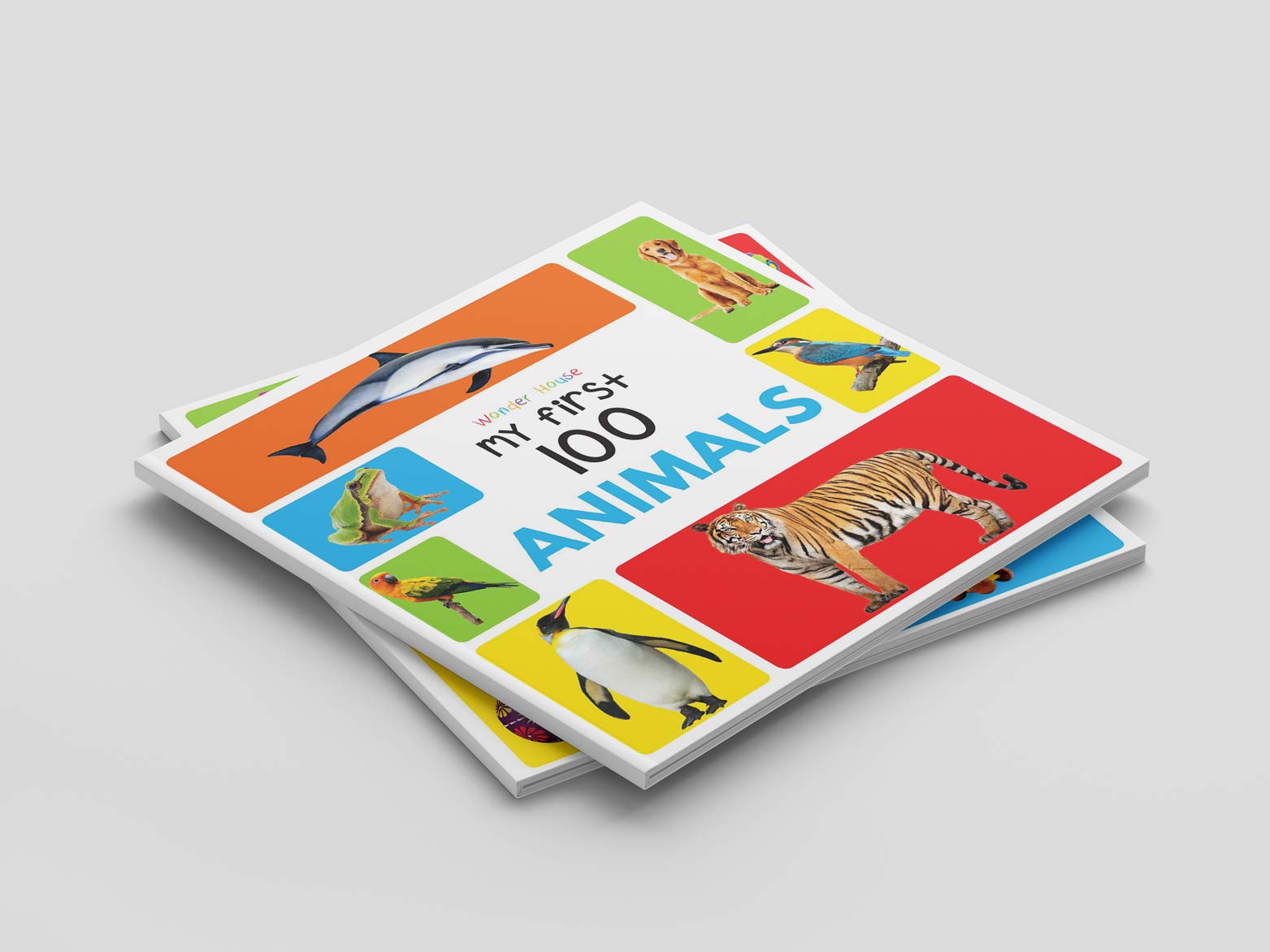 My First 100 Box Set: A Pack of Five Picture Books for Children (Animals, Words, Numbers, Food We Eat and Things That Move) - The English Bookshop Kuwait