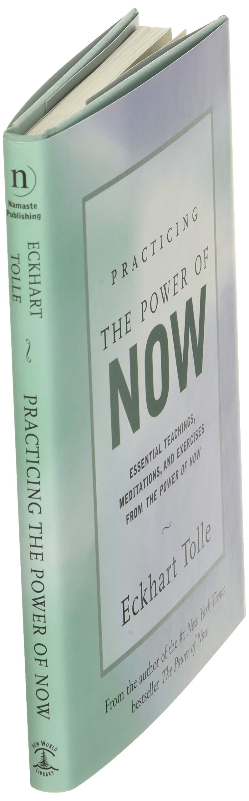 Practicing the Power of Now: Essential Teachings, Meditations, and Exercises From The Power of Now - The English Bookshop Kuwait