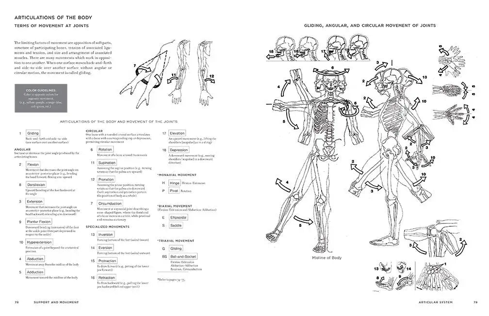 McMurtrie's Human Anatomy Coloring Book - The English Bookshop Kuwait