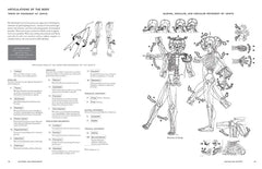 McMurtrie's Human Anatomy Coloring Book - The English Bookshop Kuwait