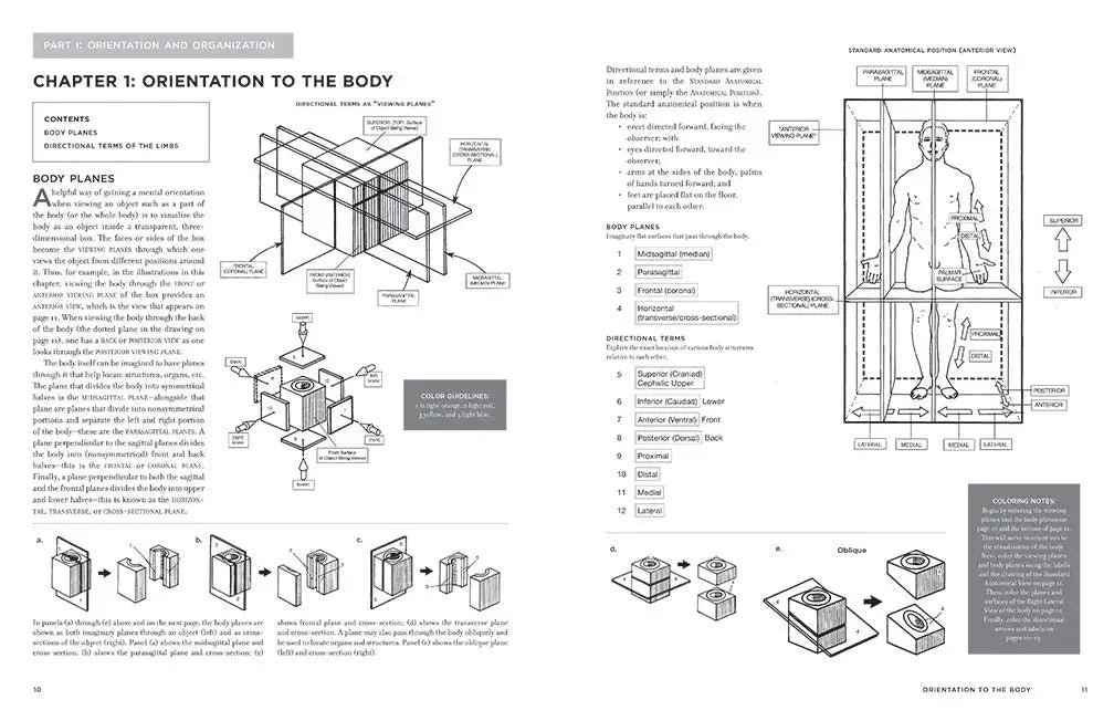 McMurtrie's Human Anatomy Coloring Book - The English Bookshop Kuwait