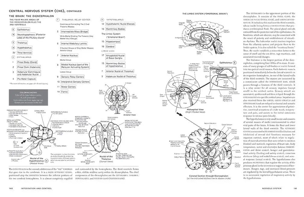 McMurtrie's Human Anatomy Coloring Book The English