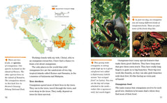 Face to Face with Orangutans: Level 5 (National Geographic Readers) - The English Bookshop Kuwait