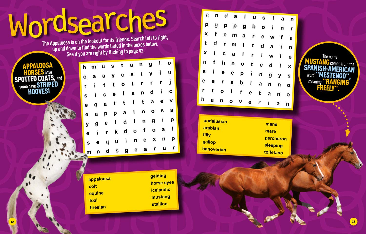 Puzzle Book Horses and Ponies: Brain-tickling quizzes, sudokus, crosswords and wordsearches (National Geographic Kids) - The English Bookshop Kuwait