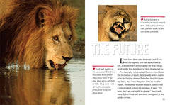 Face to Face with Lions: Level 5 (National Geographic Readers) - The English Bookshop Kuwait