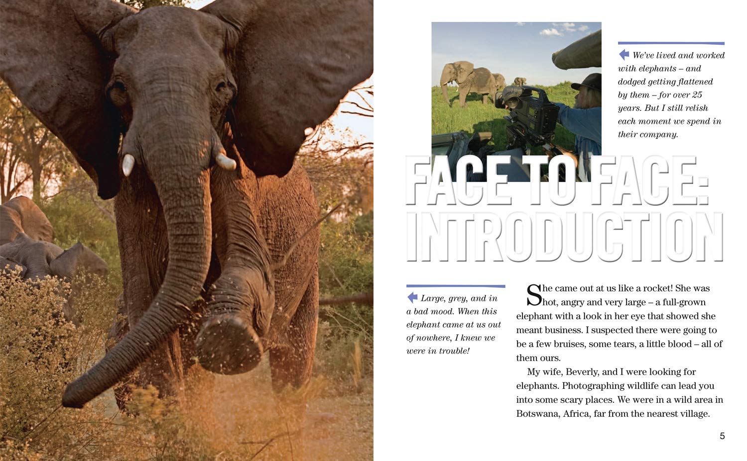 Face to Face with Elephants: Level 6 (National Geographic Readers) - The English Bookshop Kuwait