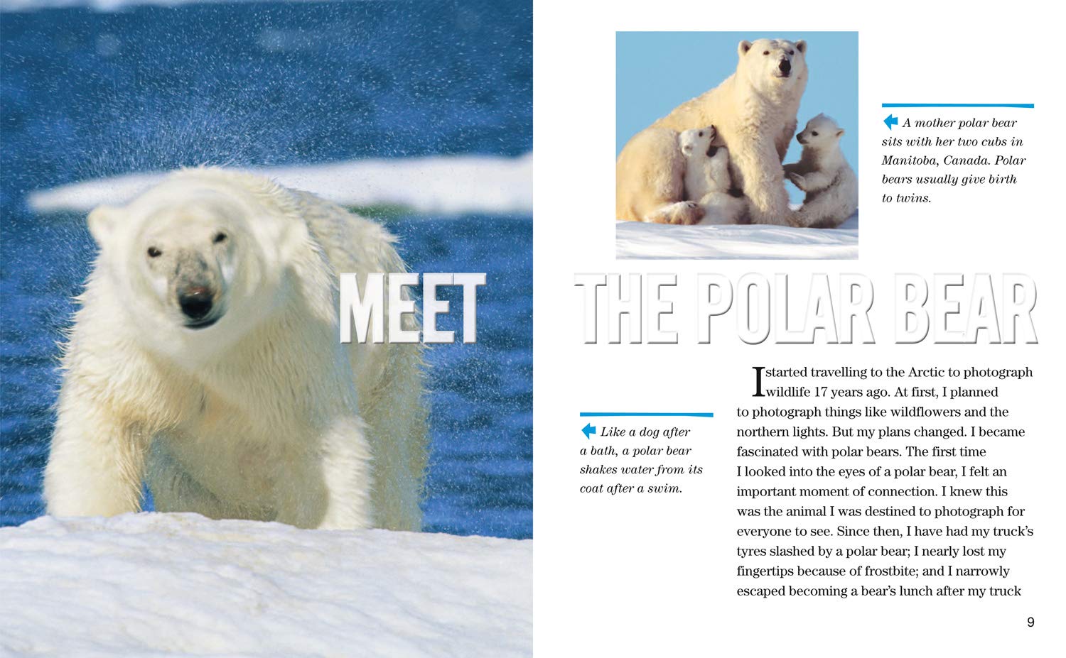 Face to Face with Polar Bears: Level 5 (National Geographic Readers) - The English Bookshop Kuwait