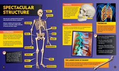 Everything: Human Body: Eye-opening facts and photos to tickle your brain! (National Geographic Kids) - The English Bookshop Kuwait
