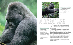 Face to Face with Gorillas: Level 5 (National Geographic Readers) - The English Bookshop Kuwait