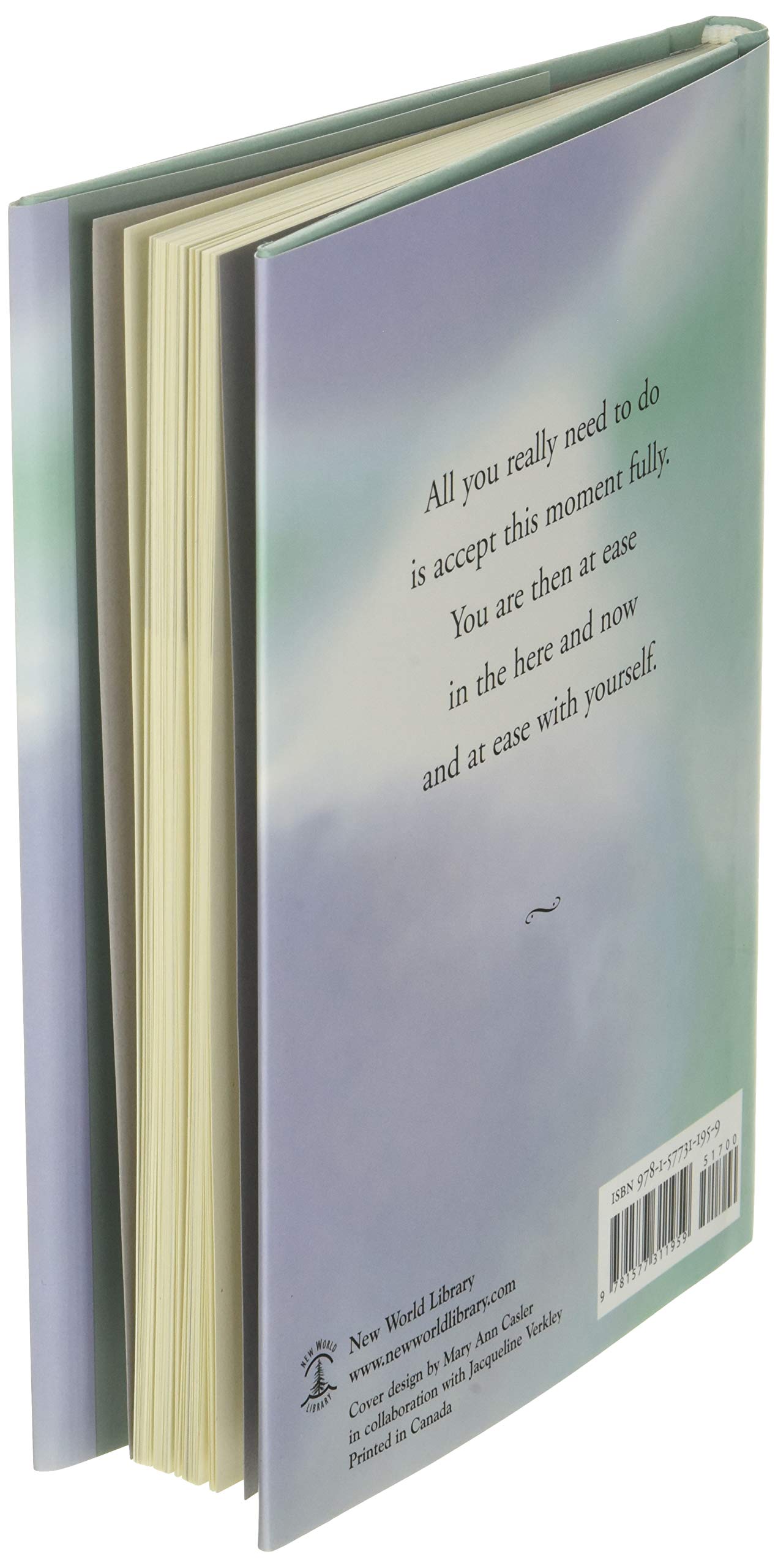 Practicing the Power of Now: Essential Teachings, Meditations, and Exercises From The Power of Now - The English Bookshop Kuwait