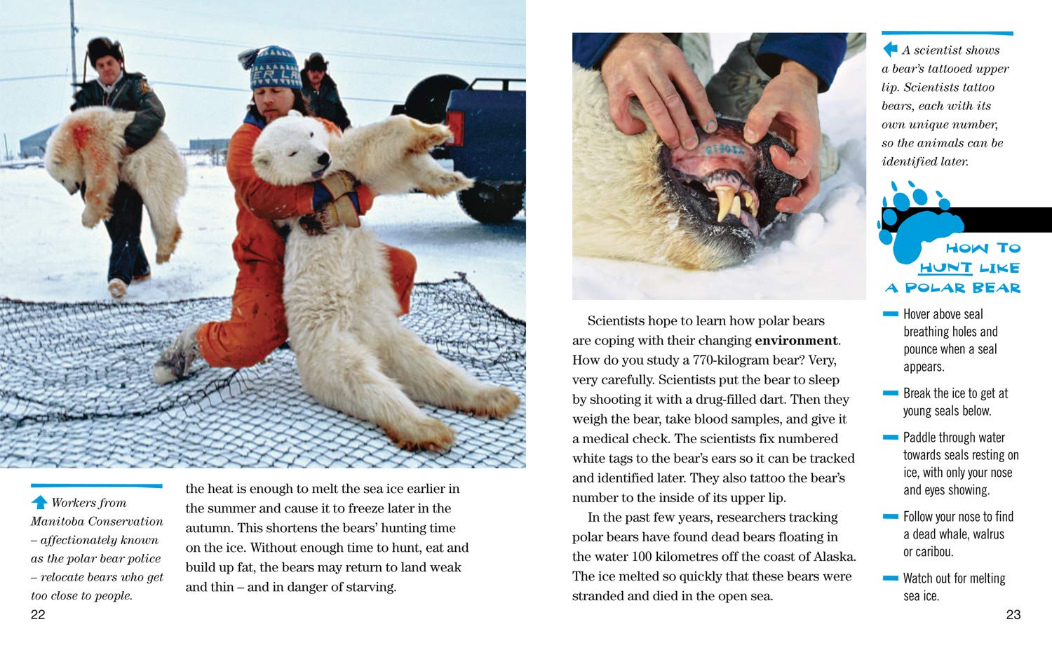 Face to Face with Polar Bears: Level 5 (National Geographic Readers) - The English Bookshop Kuwait