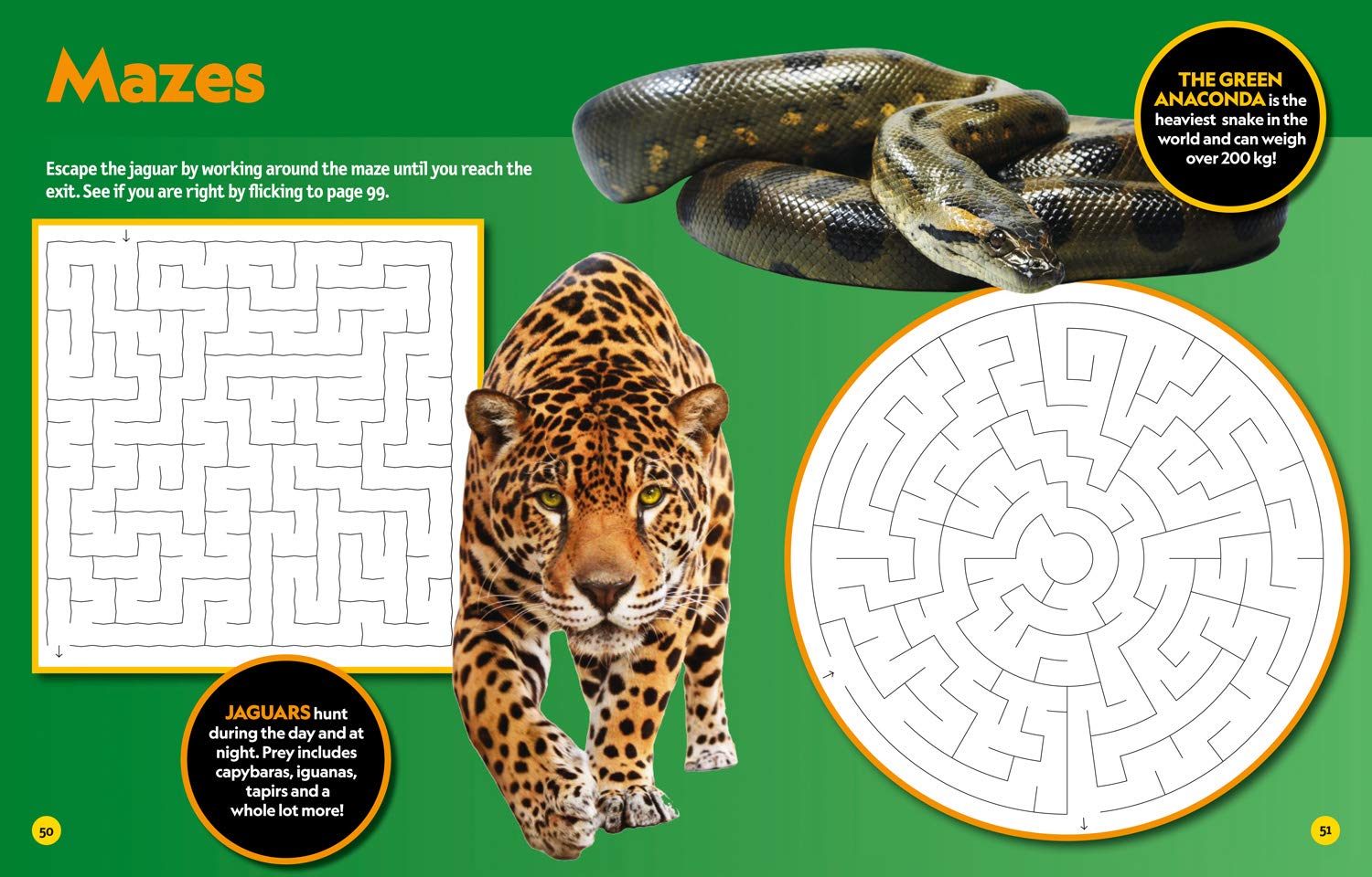 Puzzle Book Deadly Creatures: Brain-tickling quizzes, sudokus, crosswords and wordsearches (National Geographic Kids) - The English Bookshop Kuwait