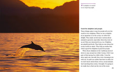 Face to Face with Dolphins: Level 5 (National Geographic Readers) - The English Bookshop Kuwait