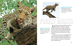 Face to Face with Leopards: Level 6 (National Geographic Readers) - The English Bookshop Kuwait