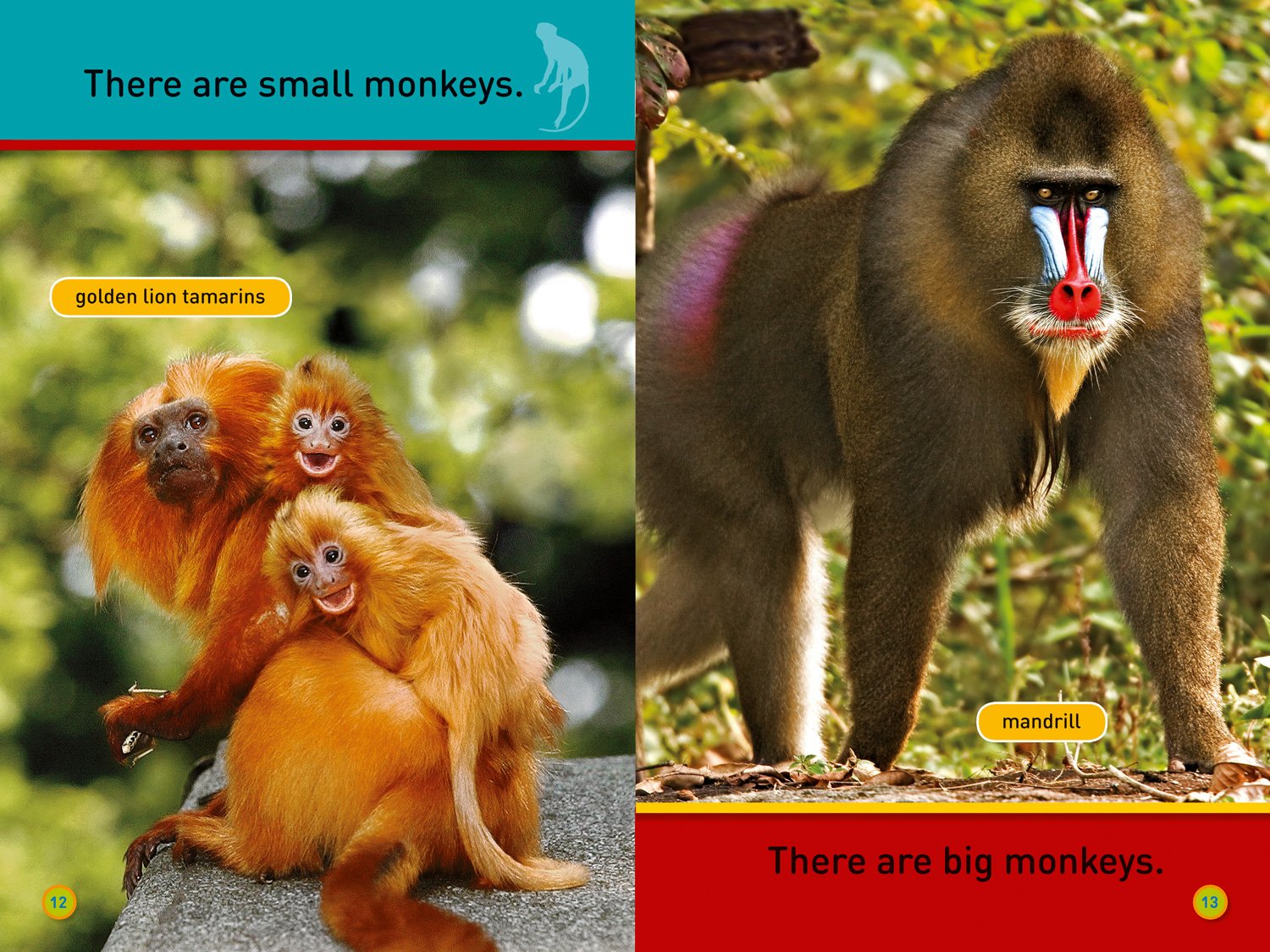 Kuwait Monkey Hang On, Monkey!: Level 1 (National Geographic Readers) - The English ...