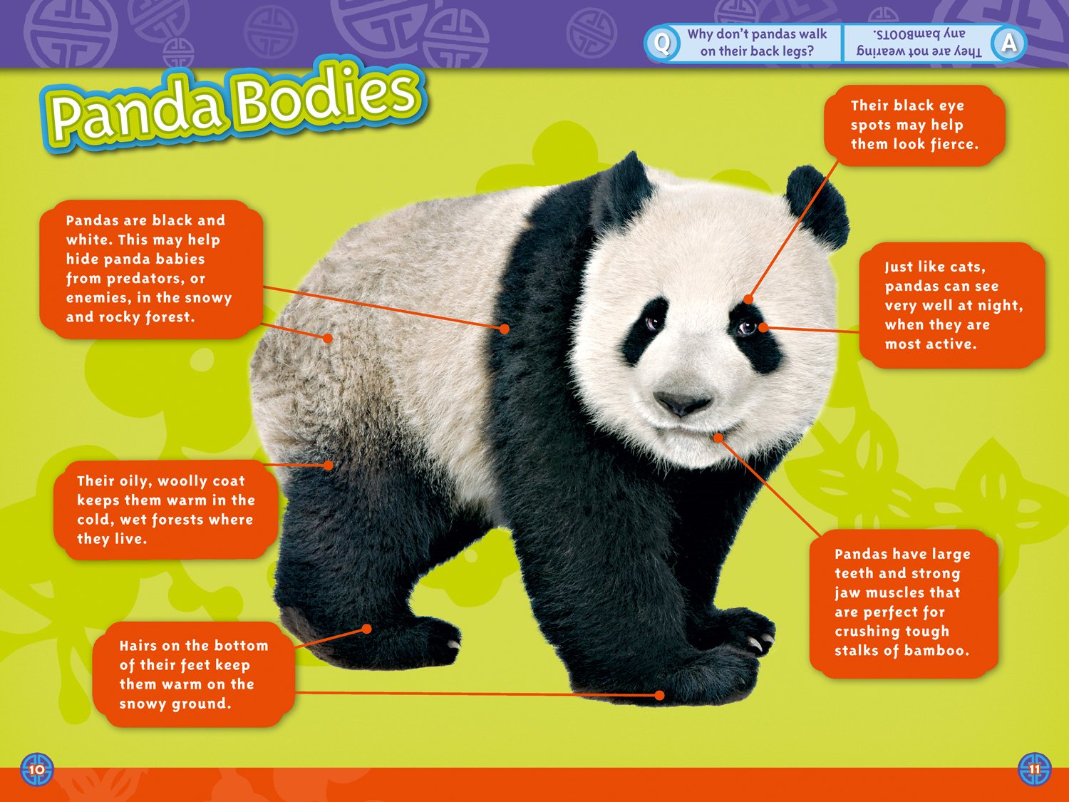 Pandas: Level 3 (National Geographic Readers) - The English Bookshop Kuwait
