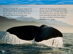 Whales: Level 4 (National Geographic Readers) - The English Bookshop Kuwait