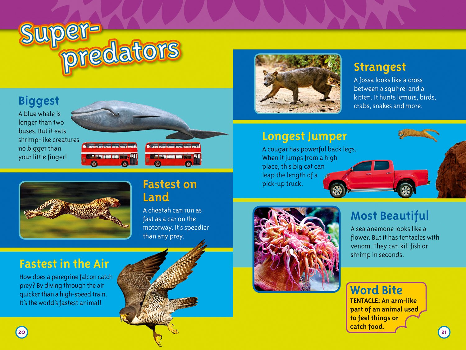 Deadly Predators: Level 3 (National Geographic Readers) - The English Bookshop Kuwait