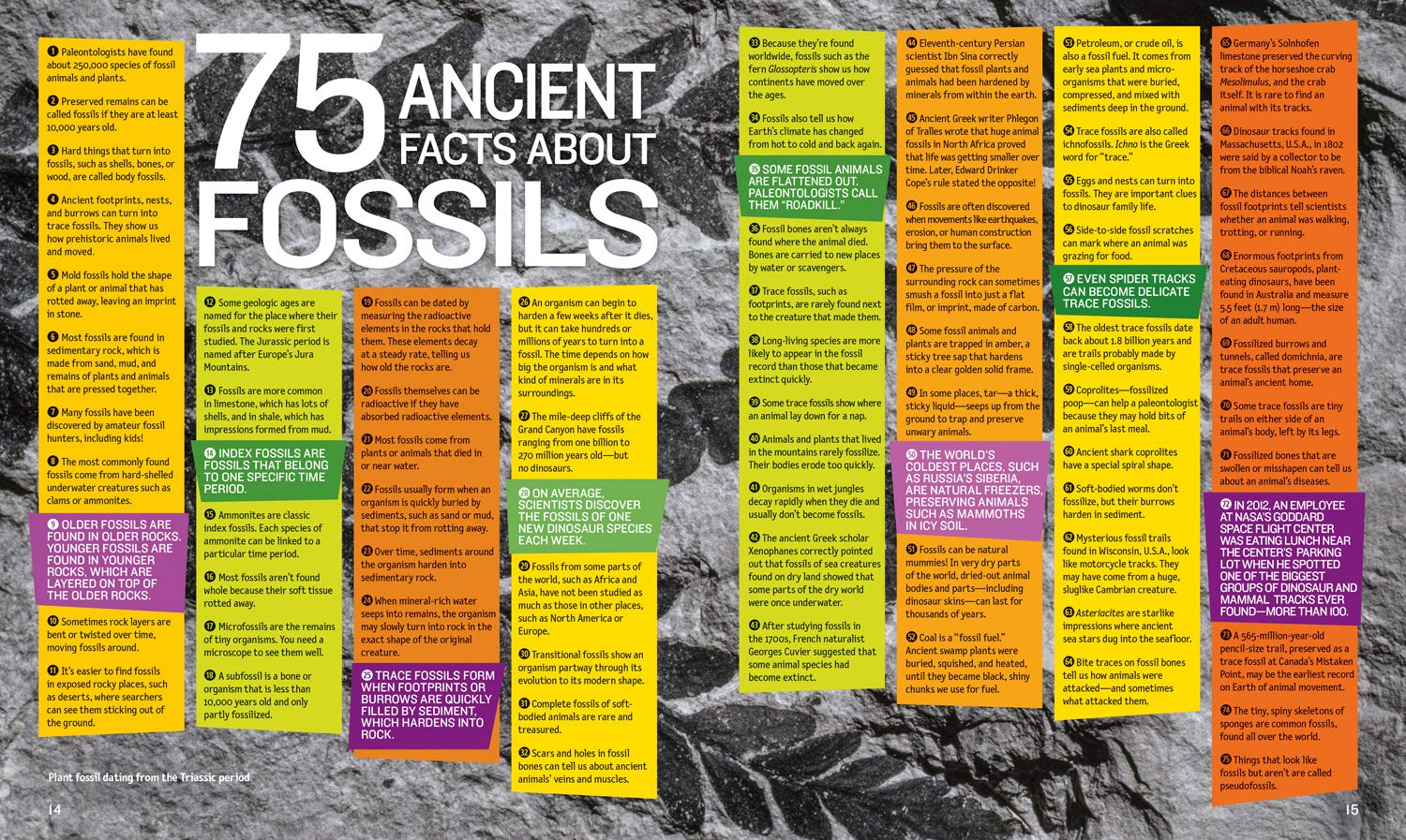 1,000 facts About Dinosaurs, Fossils, and Prehistoric Life (National Geographic Kids) - The English Bookshop Kuwait