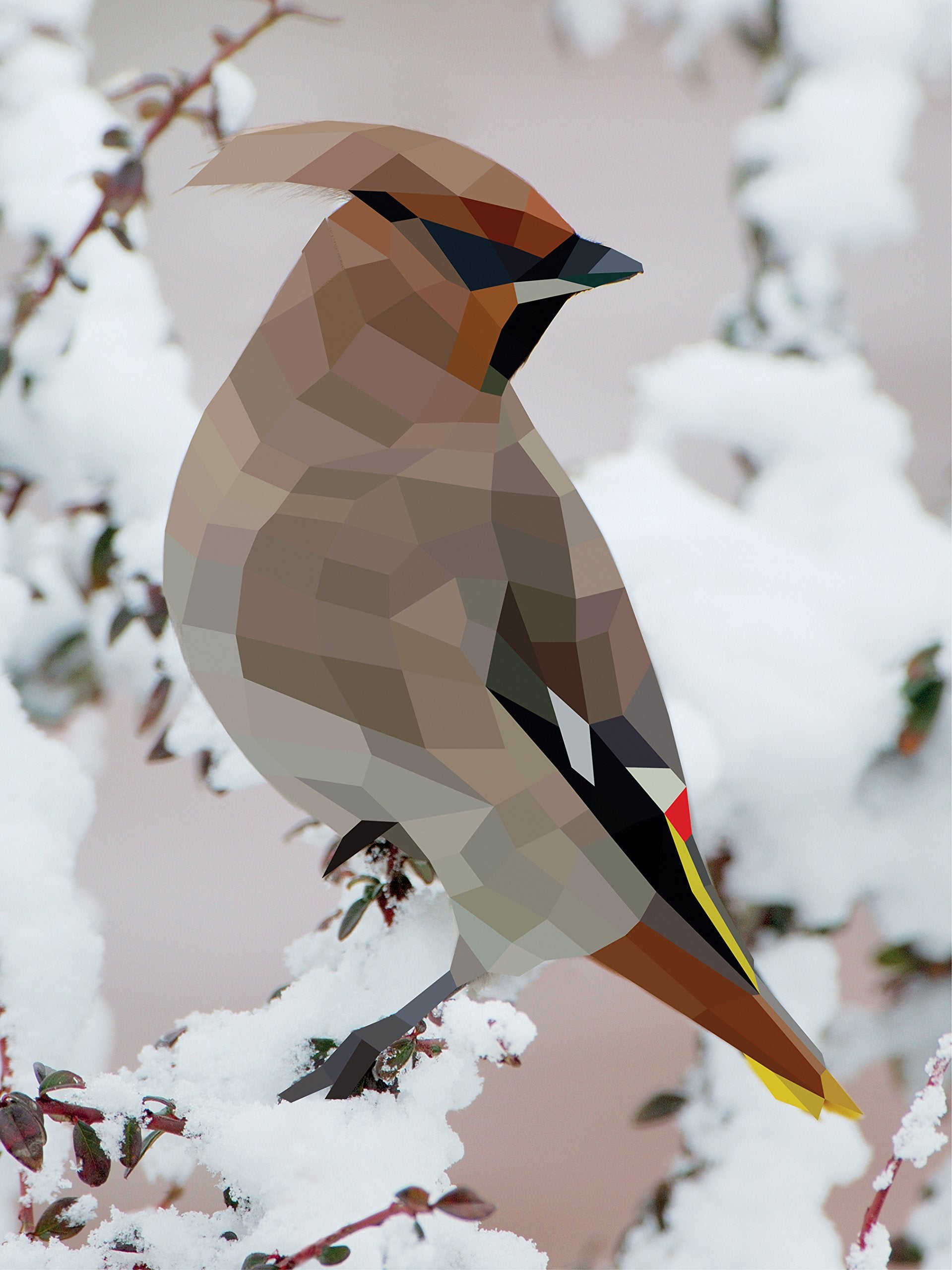 Paint by Sticker: Birds: Create 12 Stunning Images One Sticker at a Time! - The English Bookshop Kuwait