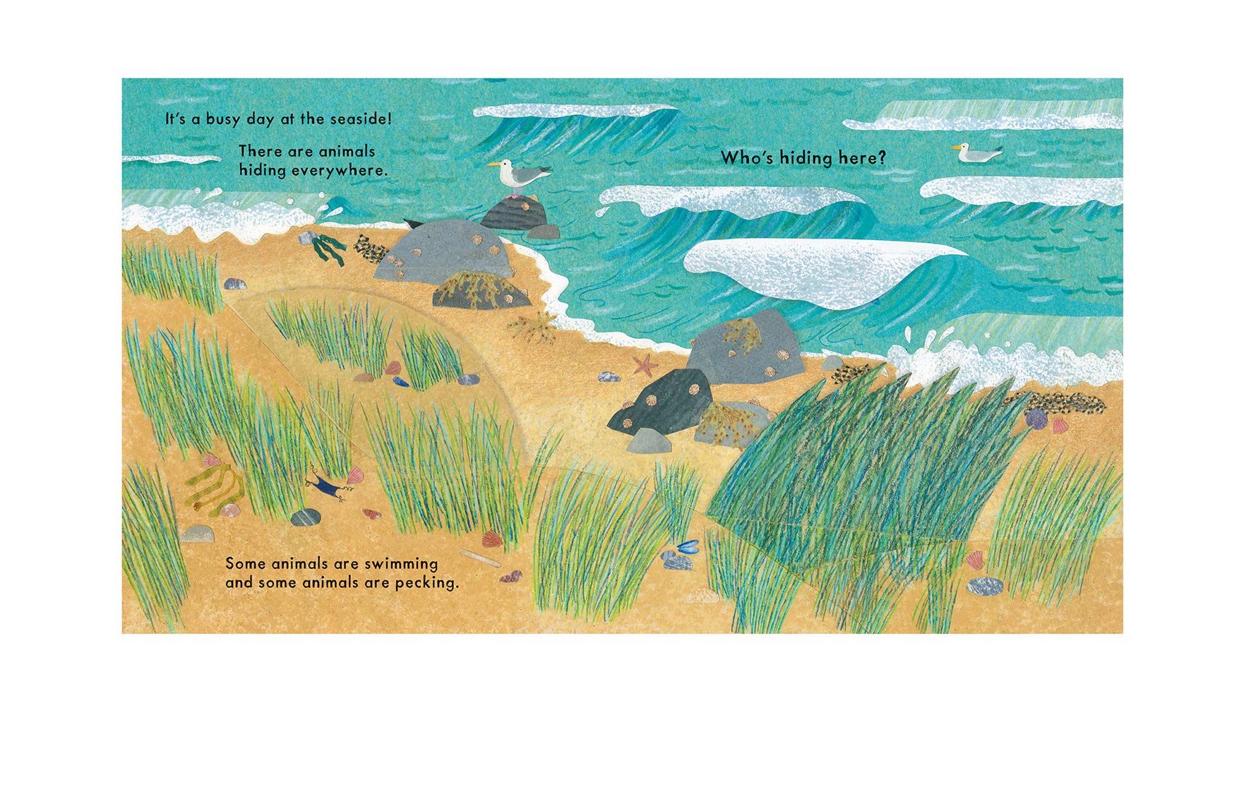 National Trust: Who's Hiding at the Seaside? (Who's Hiding Here?) - The English Bookshop Kuwait