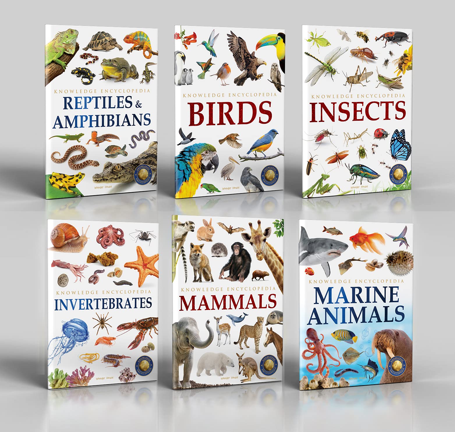 Animals - Collection of 6 Books: Knowledge Encyclopedia For Children (Box Set) - The English Bookshop Kuwait