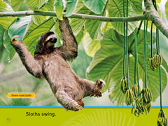Swing, Sloth!: Level 1 (National Geographic Readers) - The English Bookshop Kuwait