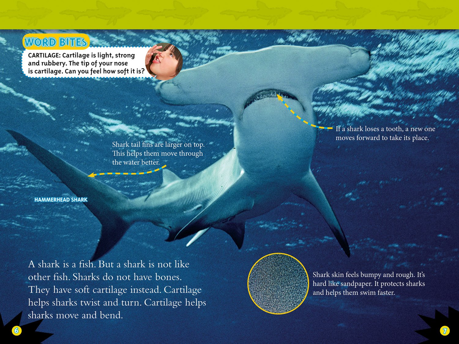 Sharks: Level 3 (National Geographic Readers) - The English Bookshop Kuwait