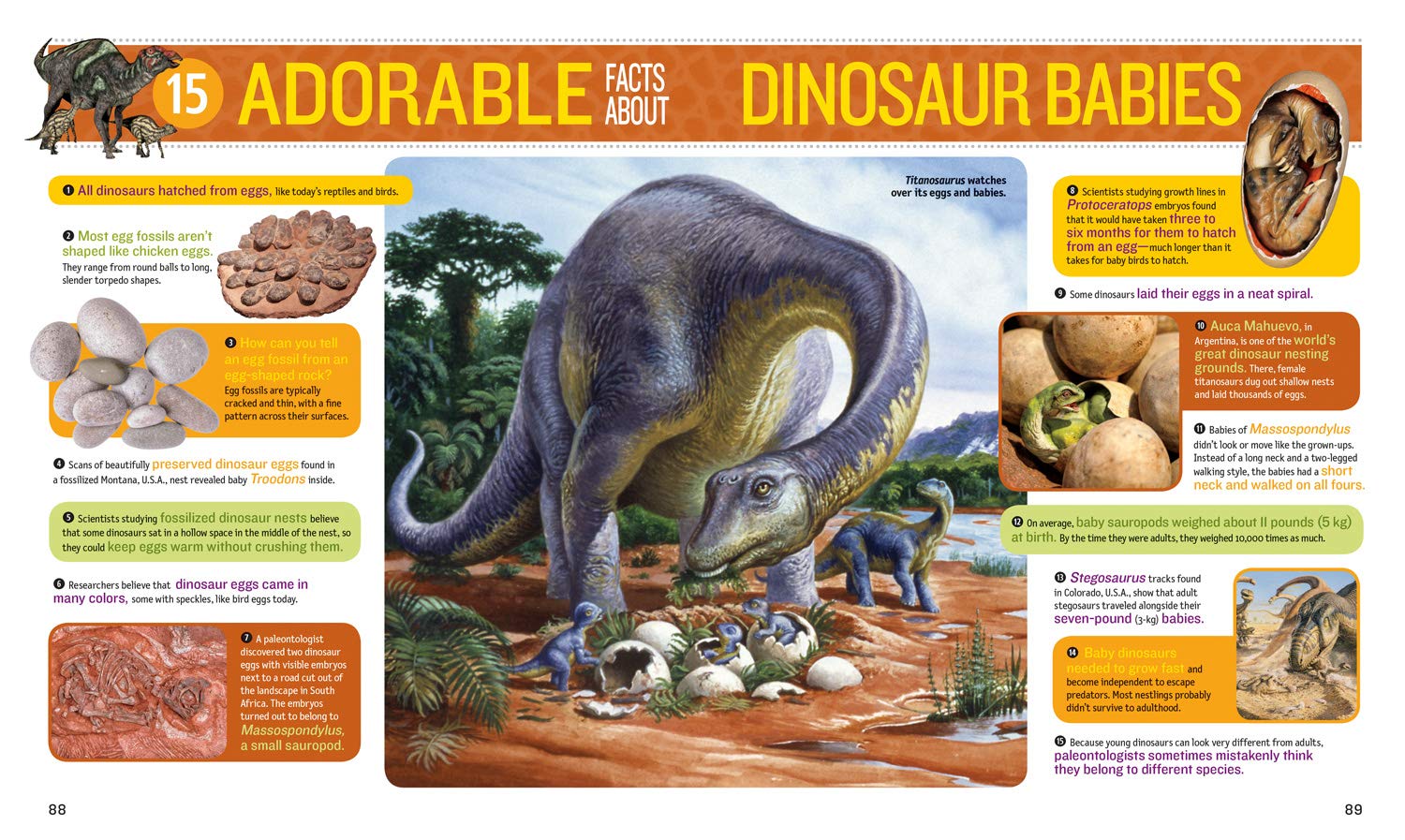 1,000 facts About Dinosaurs, Fossils, and Prehistoric Life (National Geographic Kids) - The English Bookshop Kuwait