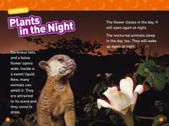 Day and Night: Level 2 (National Geographic Readers) - The English Bookshop Kuwait
