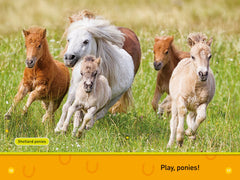 Trot, Pony!: Level 1 (National Geographic Readers) - The English Bookshop Kuwait