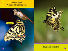 Flutter, Butterfly!: Level 1 (National Geographic Readers) - The English Bookshop Kuwait