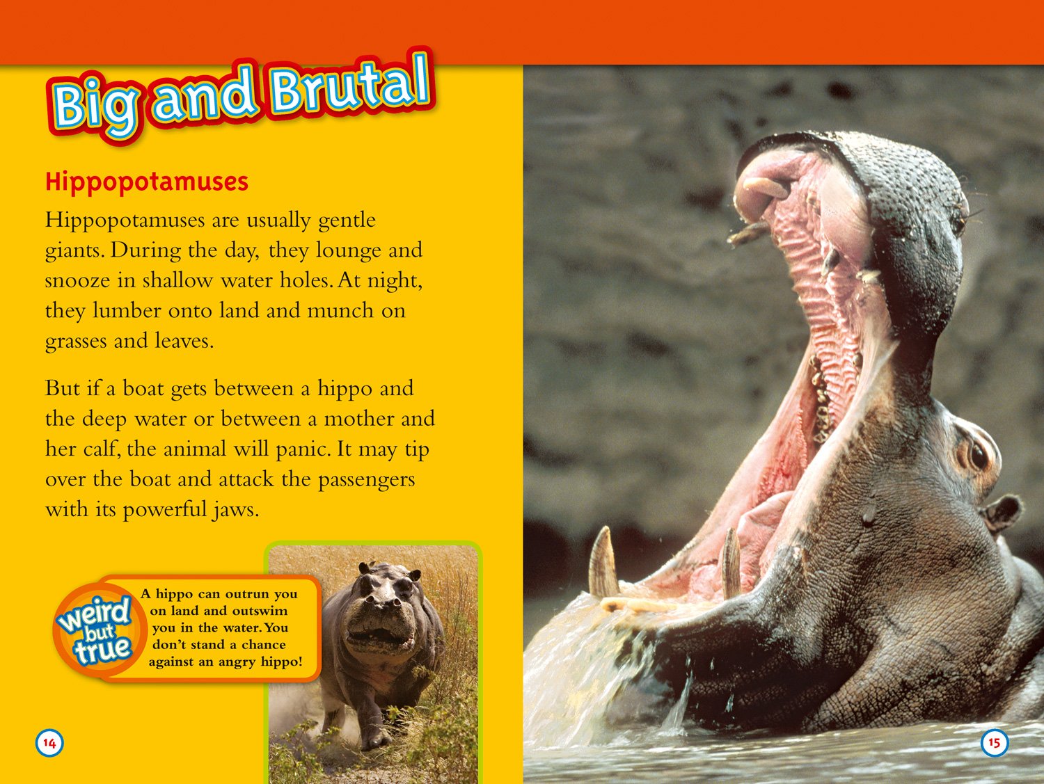 Deadliest Animals: Level 4 (National Geographic Readers) - The English Bookshop Kuwait