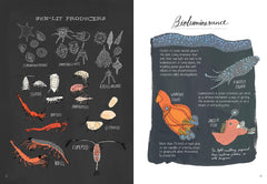 Ocean Anatomy: The Curious Parts & Pieces of the World Under the Sea - The English Bookshop Kuwait