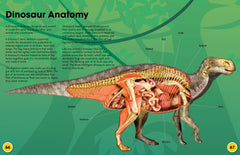 Dinosaurs (Collins Fascinating Facts) - The English Bookshop