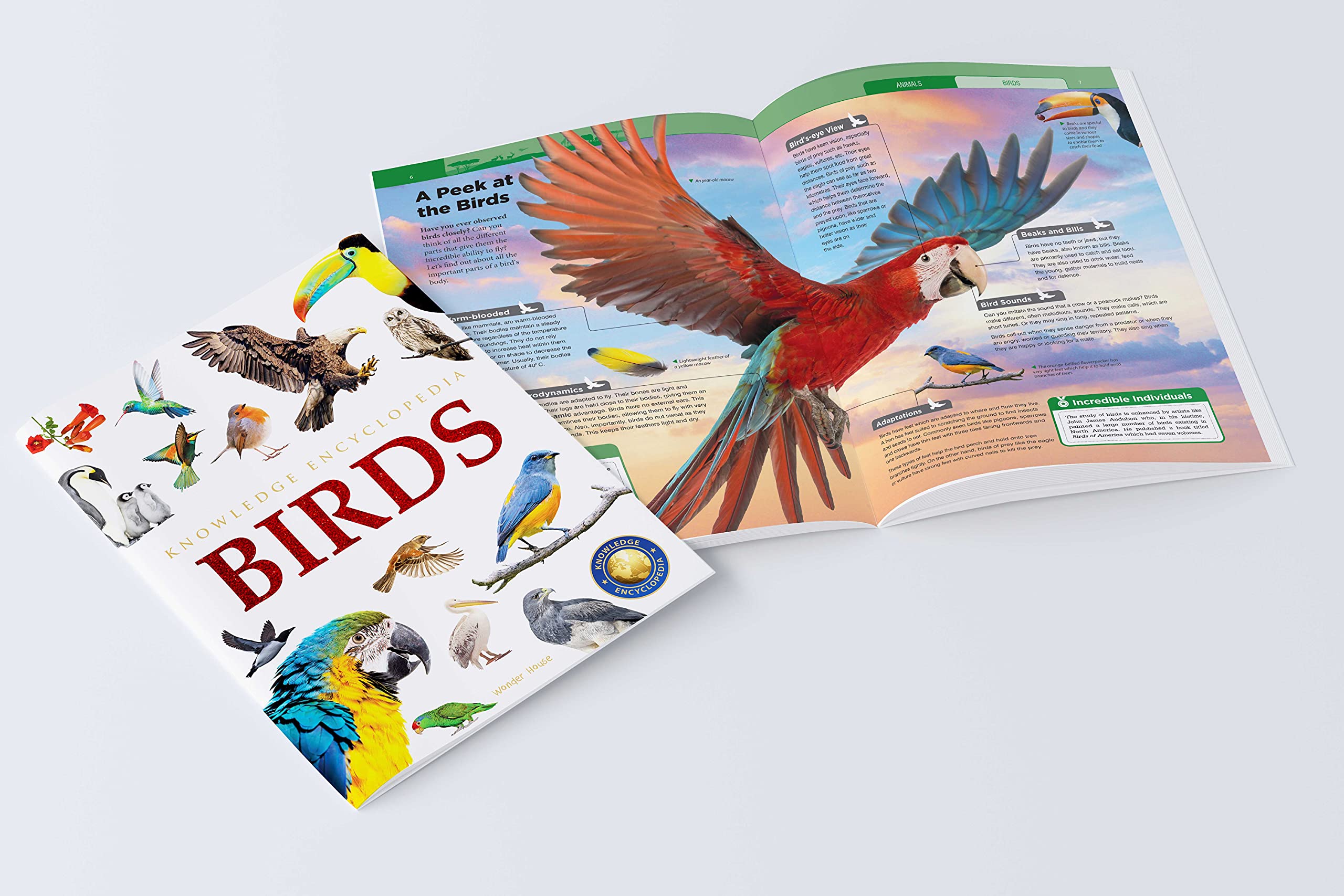 Animals - Collection of 6 Books: Knowledge Encyclopedia For Children (Box Set) - The English Bookshop Kuwait