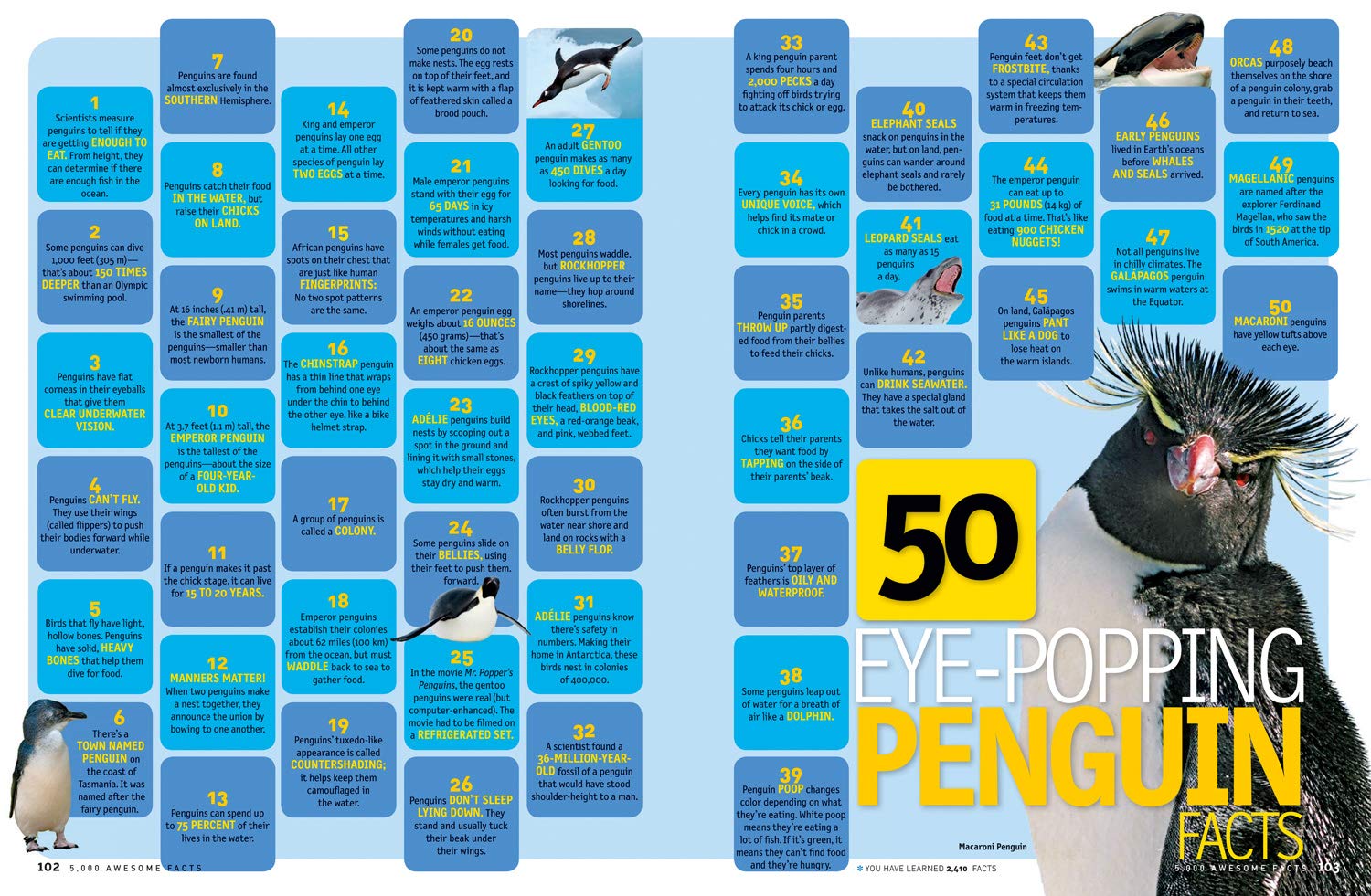 5,000 Awesome Facts (About Everything!) (National Geographic Kids) - The English Bookshop Kuwait