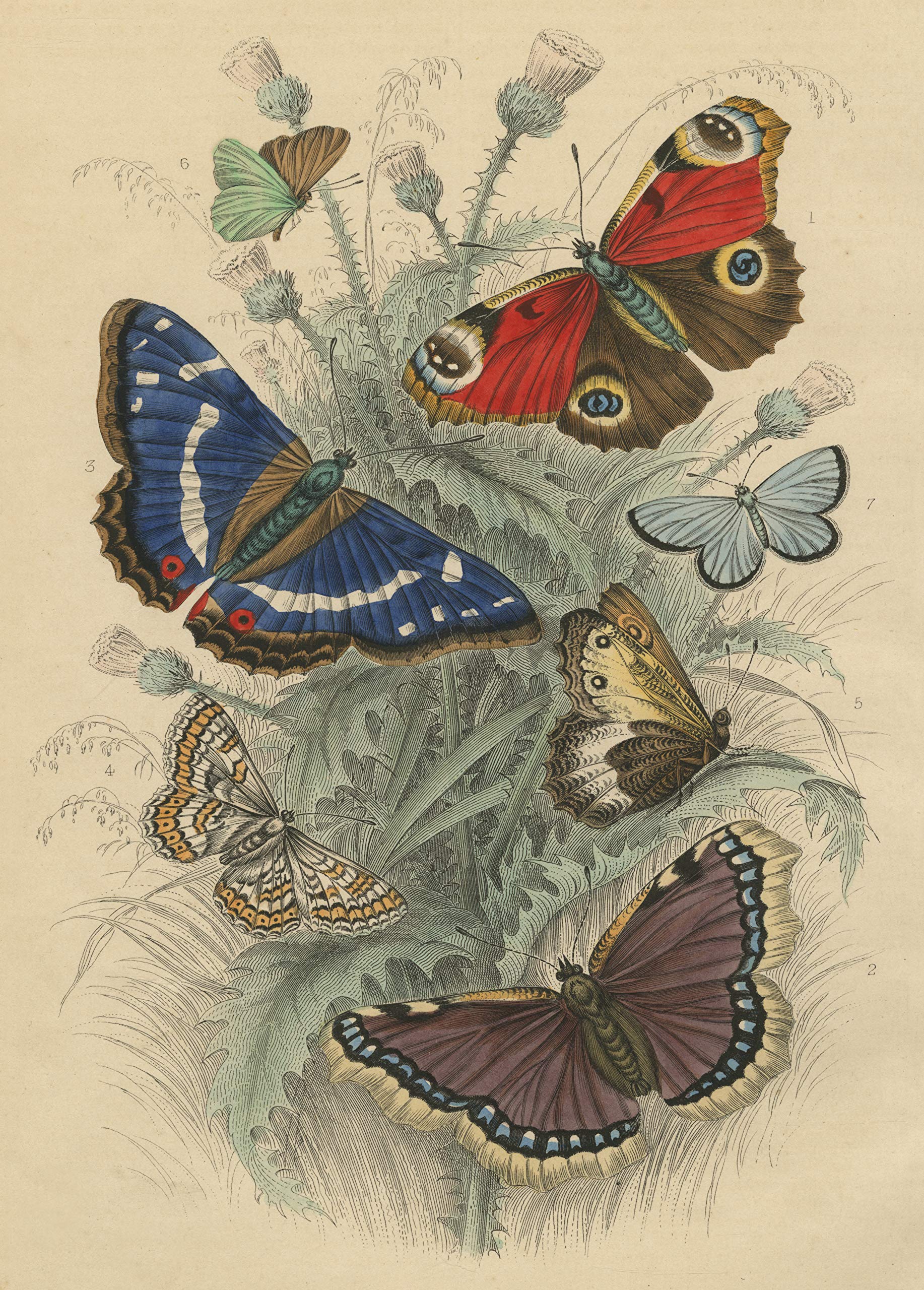 John Derian Paper Goods: Dancing Butterflies 750-Piece Puzzle - Workman Publishing - The English Bookshop
