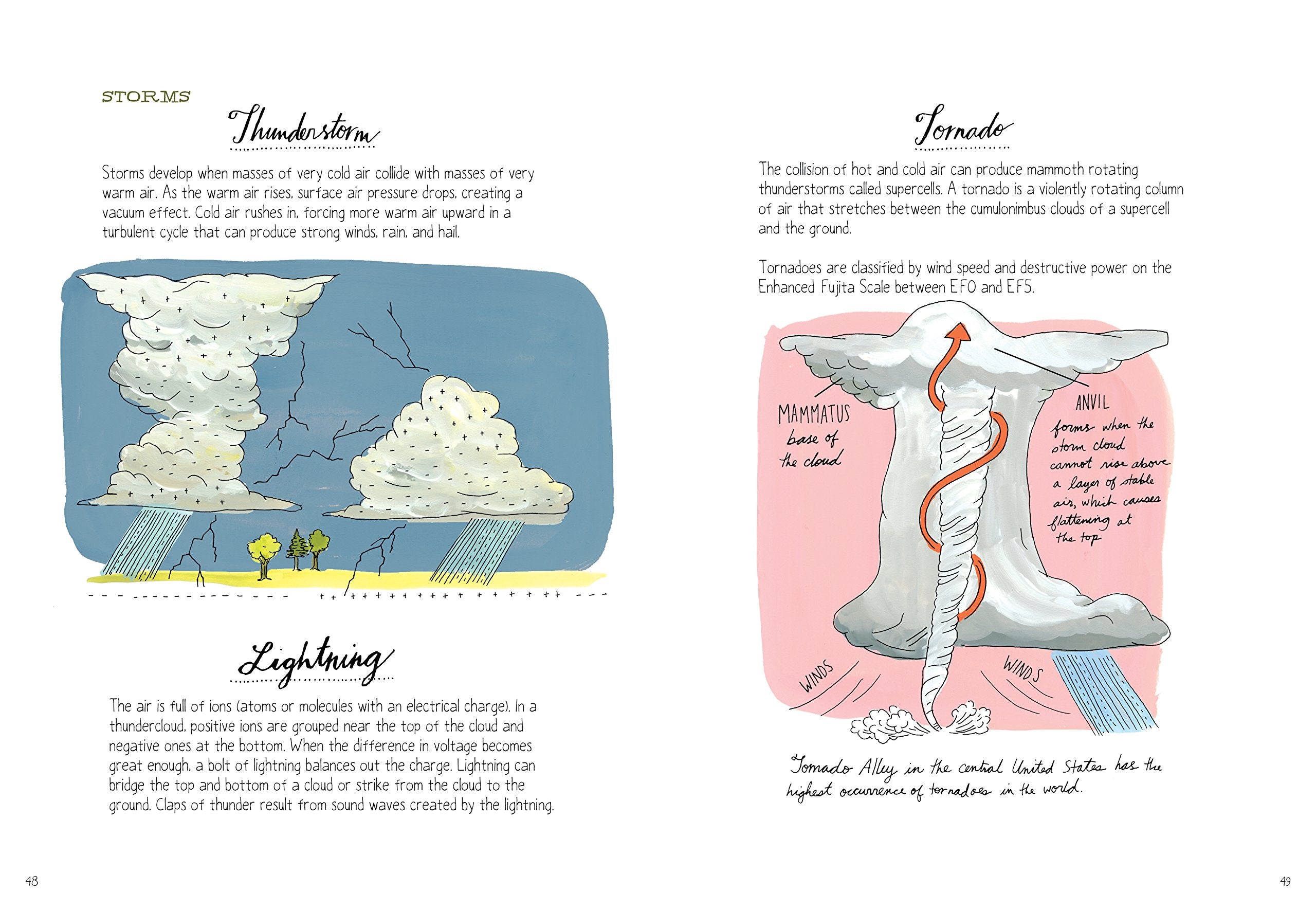 Nature Anatomy: The Curious Parts and Pieces of the Natural World - The English Bookshop Kuwait