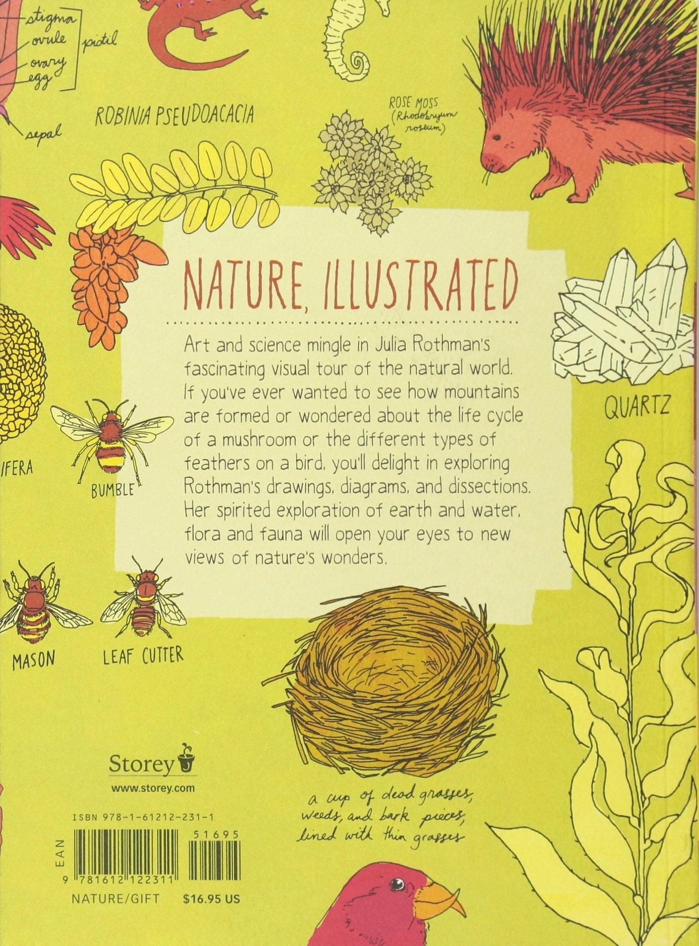 Nature Anatomy: The Curious Parts and Pieces of the Natural World - The English Bookshop Kuwait