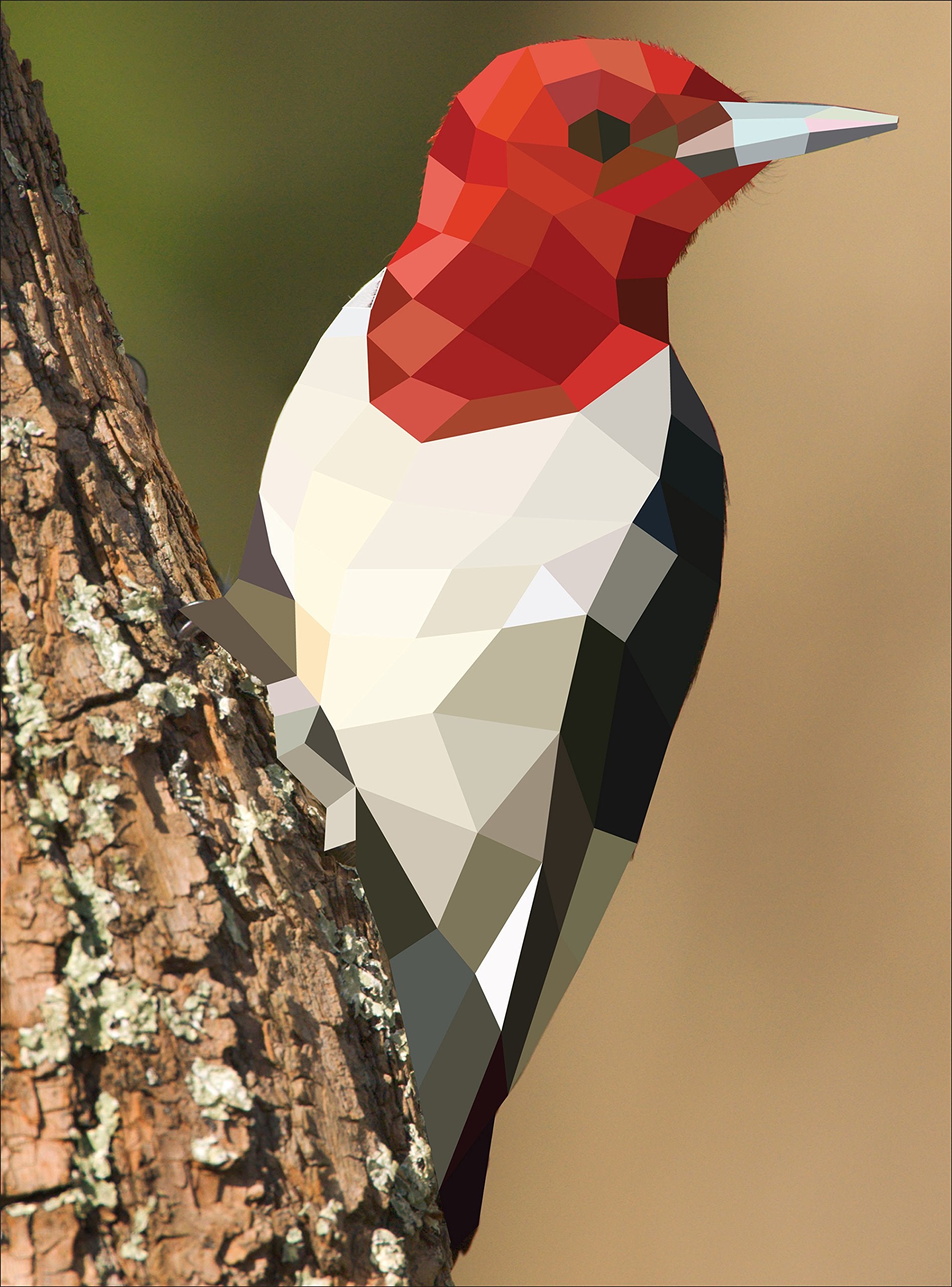 Paint by Sticker: Birds: Create 12 Stunning Images One Sticker at a Time! - The English Bookshop Kuwait