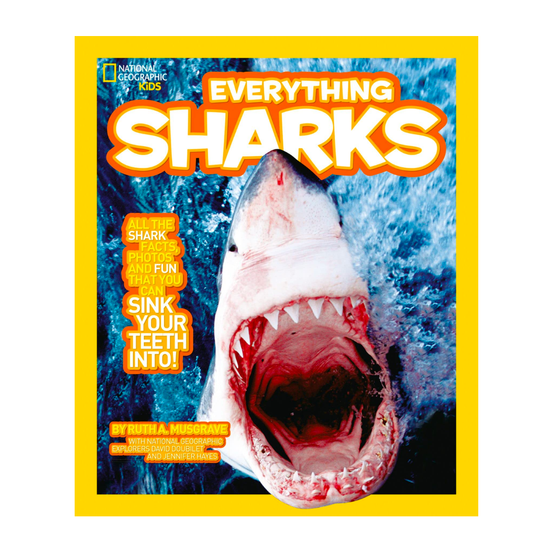 Everything: Sharks (National Geographic Kids) - The English Bookshop Kuwait