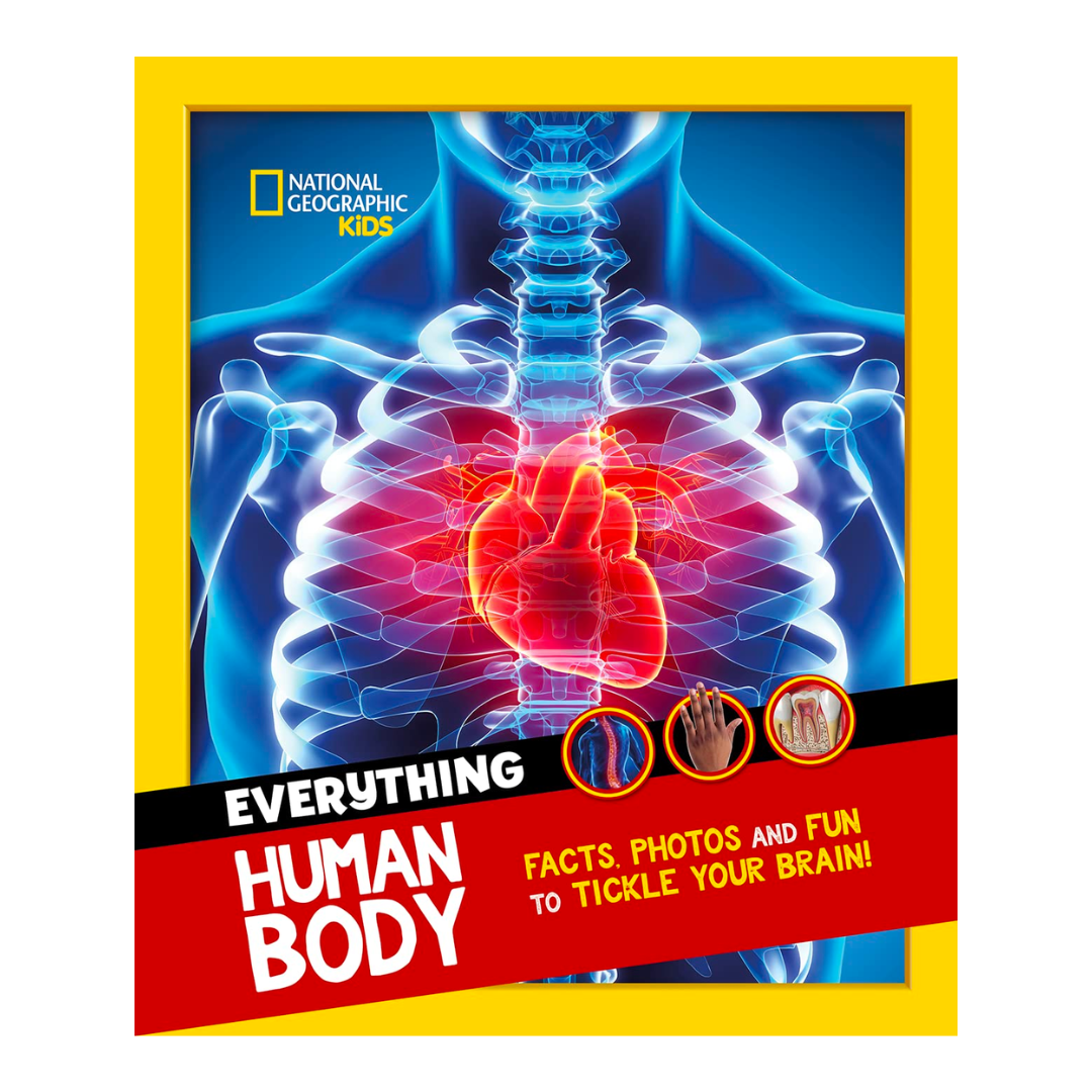 Everything: Human Body: Eye-opening facts and photos to tickle your brain! (National Geographic Kids) - The English Bookshop Kuwait