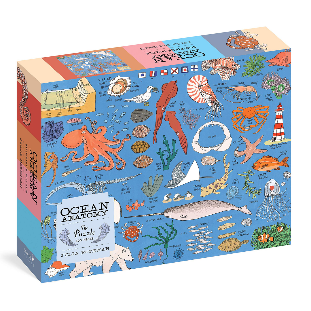 Ocean Anatomy: The Puzzle (500 pieces) - Julia Rothman - The English Bookshop